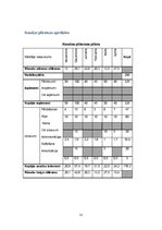 Biznesa plāns 'Biznesa plāns', 12.