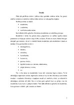 Referāts 'Ievadierīces', 3.