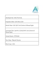 Eseja 'Civil Liberties and Human Rights', 1.