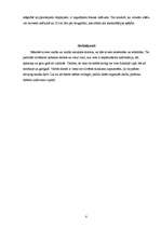 Referāts 'Portatīvie datori', 8.