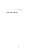 Referāts 'Portatīvie datori', 9.