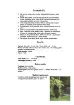 Referāts 'Bites', 5.