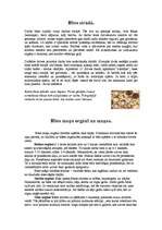 Referāts 'Bites', 6.