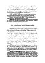 Referāts 'Bites', 7.