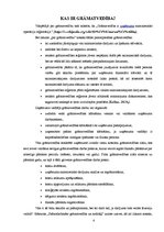 Referāts 'Iekšējā kontrole grāmatvedības un kases operāciju uzskaitē', 4.