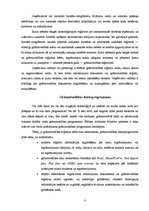 Referāts 'Iekšējā kontrole grāmatvedības un kases operāciju uzskaitē', 8.