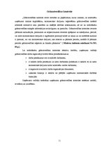 Referāts 'Iekšējā kontrole grāmatvedības un kases operāciju uzskaitē', 11.