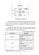 Referāts 'Patērētāju rīcība tirgū. Pirkšanas lēmumu ietekmējošie faktori apģērbu nozarē', 13.