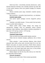 Prakses atskaite 'Hronisks kalkulozs holecistīts', 5.