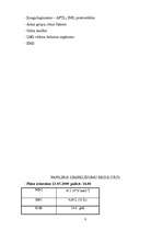 Prakses atskaite 'Hronisks kalkulozs holecistīts', 8.