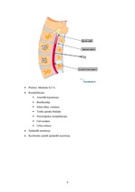 Konspekts 'Anestezioloģija', 9.