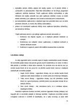 Diplomdarbs 'Uzņēmuma SIA "L" finanšu darbības analīze un pilnveidošanas iespējas', 28.