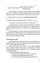 Diplomdarbs 'Uzņēmuma SIA "L" finanšu darbības analīze un pilnveidošanas iespējas', 30.