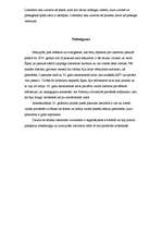 Referāts 'Literatūra pasaulē no 1920.-1940.gadam', 8.