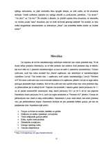 Referāts 'Nanotehnoloģijas medicīnā', 12.