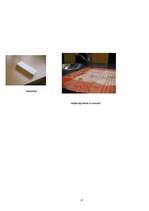 Referāts 'Nanotehnoloģijas medicīnā', 17.