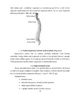Referāts 'Koriģējošie vingrojumi vidusskolas meitenēm ar ieliektas muguras problēmām', 10.