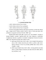 Referāts 'Koriģējošie vingrojumi vidusskolas meitenēm ar ieliektas muguras problēmām', 12.
