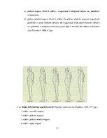 Referāts 'Koriģējošie vingrojumi vidusskolas meitenēm ar ieliektas muguras problēmām', 13.