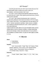 Referāts 'A/s "Lauma" mārketings', 3.