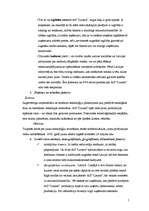 Referāts 'A/s "Lauma" mārketings', 5.