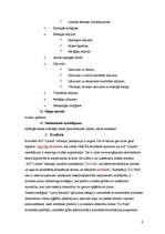 Referāts 'A/s "Lauma" mārketings', 9.