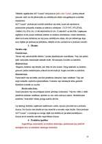 Referāts 'A/s "Lauma" mārketings', 10.