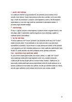 Referāts 'A/s "Lauma" mārketings', 22.