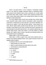 Referāts 'Tūrisma attīstības iespējas Līvānu novadā', 3.