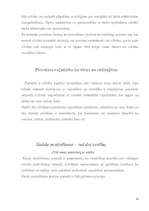 Referāts 'Motivēšanas funkcijas', 12.