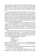 Referāts '2004.gada Ogres novada konsolidētā budžeta analīze', 6.