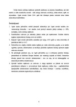 Referāts '2004.gada Ogres novada konsolidētā budžeta analīze', 8.
