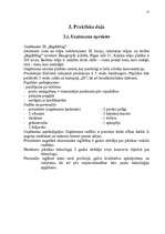 Referāts 'Jauna produkta izlaides organizēšana ražošanas uzņēmumā ''X''', 15.