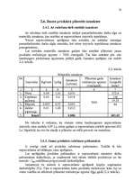 Referāts 'Jauna produkta izlaides organizēšana ražošanas uzņēmumā ''X''', 20.