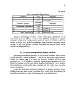 Referāts 'Jauna produkta izlaides organizēšana ražošanas uzņēmumā ''X''', 24.