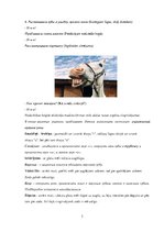 Konspekts 'Patskaņu izrunas veidošana', 3.