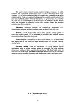 Referāts 'Lilijas', 13.