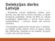 Prezentācija 'Selekcija Latvijā - dējējvistas', 10.
