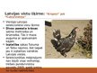 Prezentācija 'Selekcija Latvijā - dējējvistas', 12.