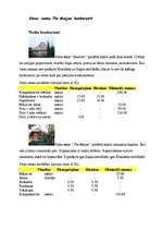 Referāts 'Viesu nama "Pie Maijas" raksturojums', 4.