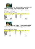 Referāts 'Viesu nama "Pie Maijas" raksturojums', 5.