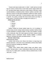 Referāts 'Reklāmas nozīme produkta virzīšanai tirgū', 7.