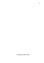 Referāts 'Reklāmas nozīme produkta virzīšanai tirgū', 13.