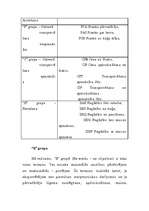 Referāts 'Inkoterma noteikumi', 5.