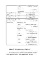 Referāts 'Inkoterma noteikumi', 12.