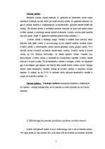 Referāts 'Zviedri', 5.