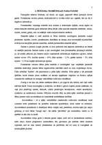 Referāts 'Matemātisko priekšstatu veidošanas iespējas pirmsskolas vecumā', 3.