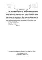 Referāts 'Matemātisko priekšstatu veidošanas iespējas pirmsskolas vecumā', 6.