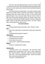 Referāts 'Matemātisko priekšstatu veidošanas iespējas pirmsskolas vecumā', 9.