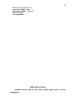 Referāts 'Matemātisko priekšstatu veidošanas iespējas pirmsskolas vecumā', 12.